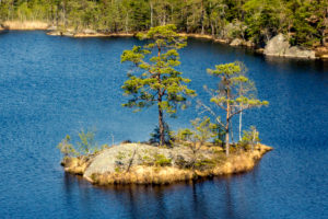 Tyresta By National Park close to Stockholm city Tyresta By National Park close to Stockholm city